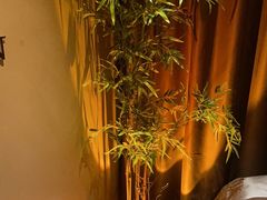 -宁采臣Sleep·采耳·SPA放松馆(湖里万达店)