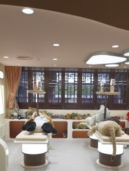 -奈尔宝家庭中心·国风主题·亲子餐厅(豫园商城店)
