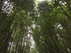 -井空里大峡谷