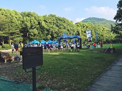 -惠山国家森林公园