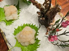 -Mr.Fish鱼鲜生海鲜放题(高德置地冬广场店)
