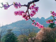-石老人观光园
