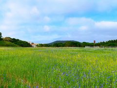 -济州森林小火车生态公园