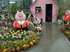 -南山植物园