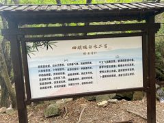 -白水冲瀑布