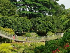 -东莞植物园
