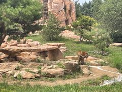 -北京野生动物园