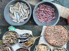 -南沙十九涌渔人码头-南门