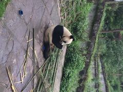 碧峰峡-碧峰峡风景区