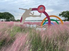 -贡湖湾湿地公园