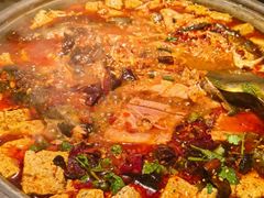 -师烤·豆花烤鱼(广州荔湾扬韬广场店)