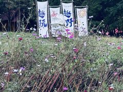 -玉泉威虎山森林公园