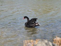 -郑州中国绿化博览园