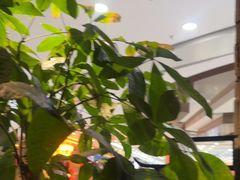 -绿茶餐厅(哈尔滨凯德店)