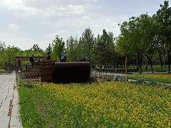 -北坞公园