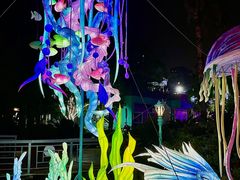 -海合安武汉极地海洋公园