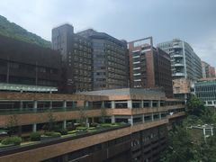 -香港大学