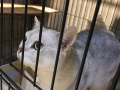 -津菜宋记老房子(鼓楼店)