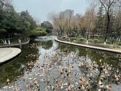 -莲湖公园