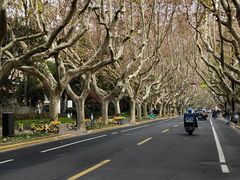 -海底捞大排档火锅(打浦路店)