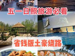 -渡海小渔村.老辈日照菜