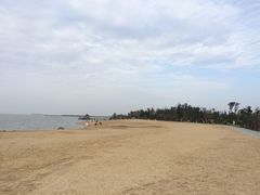 -瑶湖郊野森林公园