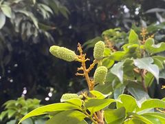 -深圳大学(丽湖校区)