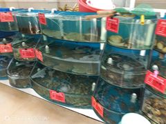 水产区-聚德福海鲜家常菜(刘庄店)