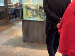 -丹江渔村(首都机场店)