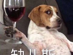 -莓超疯