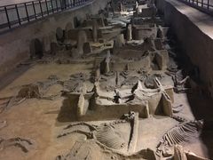 -洛阳周王城天子驾六博物馆