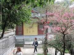 -十八棵（老龙井）御茶园(老龙井店)