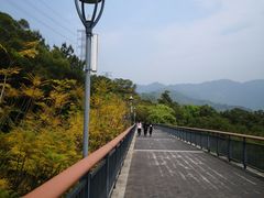 -金鸡山公园