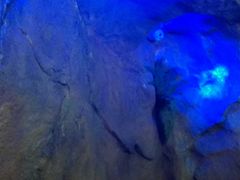 -醉小酒馆·川菜·江湖菜·重庆菜(观音桥旗舰店)