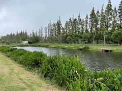 -前小桔亲子创意农场·草莓采摘·露营烧烤