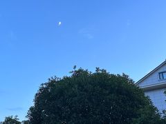 -龙坞茶村