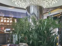 -润园四季椰子鸡火锅(海上世界店)
