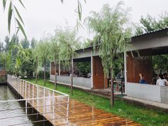 -午后庭院
