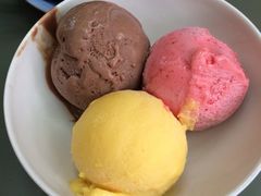 iphone_upload_pic-莓园冰淇淋店