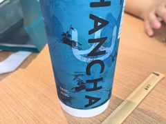 -雾与山茶(大禹城店)