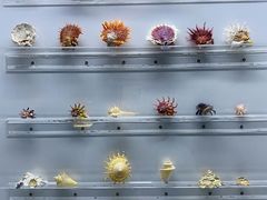 -山东博物馆