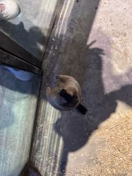 -酷嗒动物文化乐园(cutezoo西溪乐天城店)