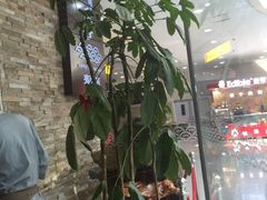 -晴季寿司(红旗街万达店)