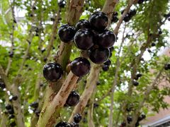 -南通洲际绿博园