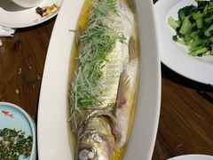 清蒸太湖白鱼-金枝玉叶上海人家食府(三里河店)