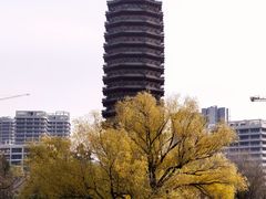 -西海子公园
