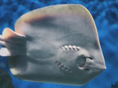 -福州罗源湾海洋世界旅游区