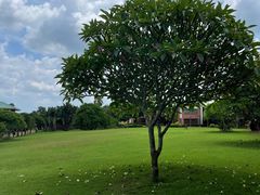 -侯臣咖啡文化村