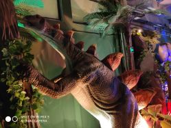 -恐龙探索乐园(磁器口店)