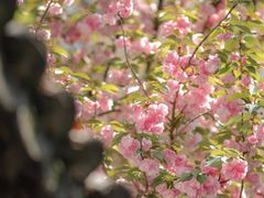 -南京民俗博物馆(甘熙故居)